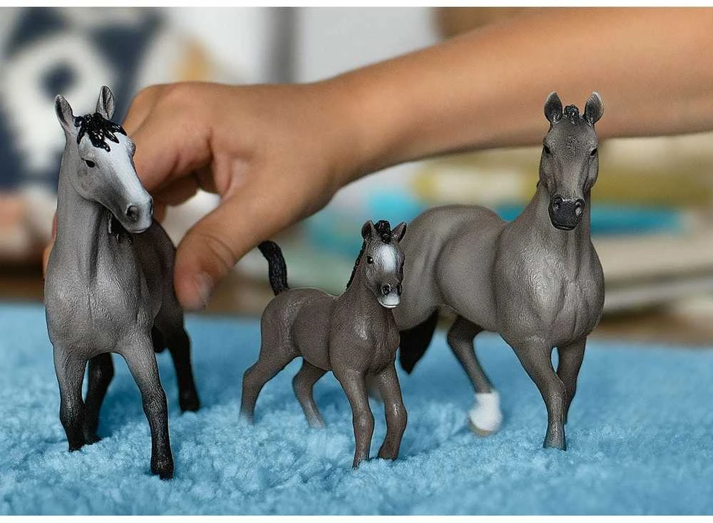 Schleich figūrėlė Cheval de Selle Francais veislės kumeliukas