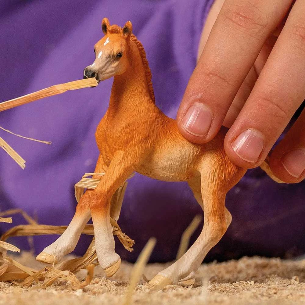 Schleich figūrėlė Arabų veislės kumeliukas
