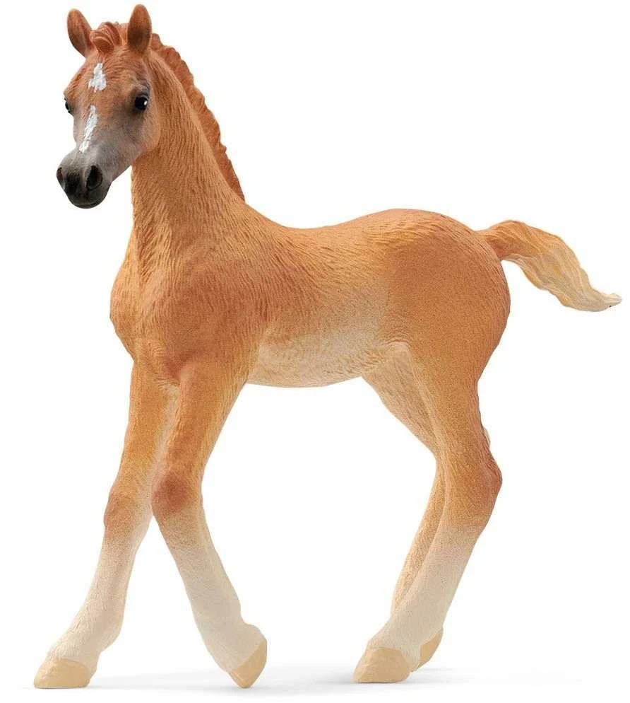 Schleich figūrėlė Arabų veislės kumeliukas