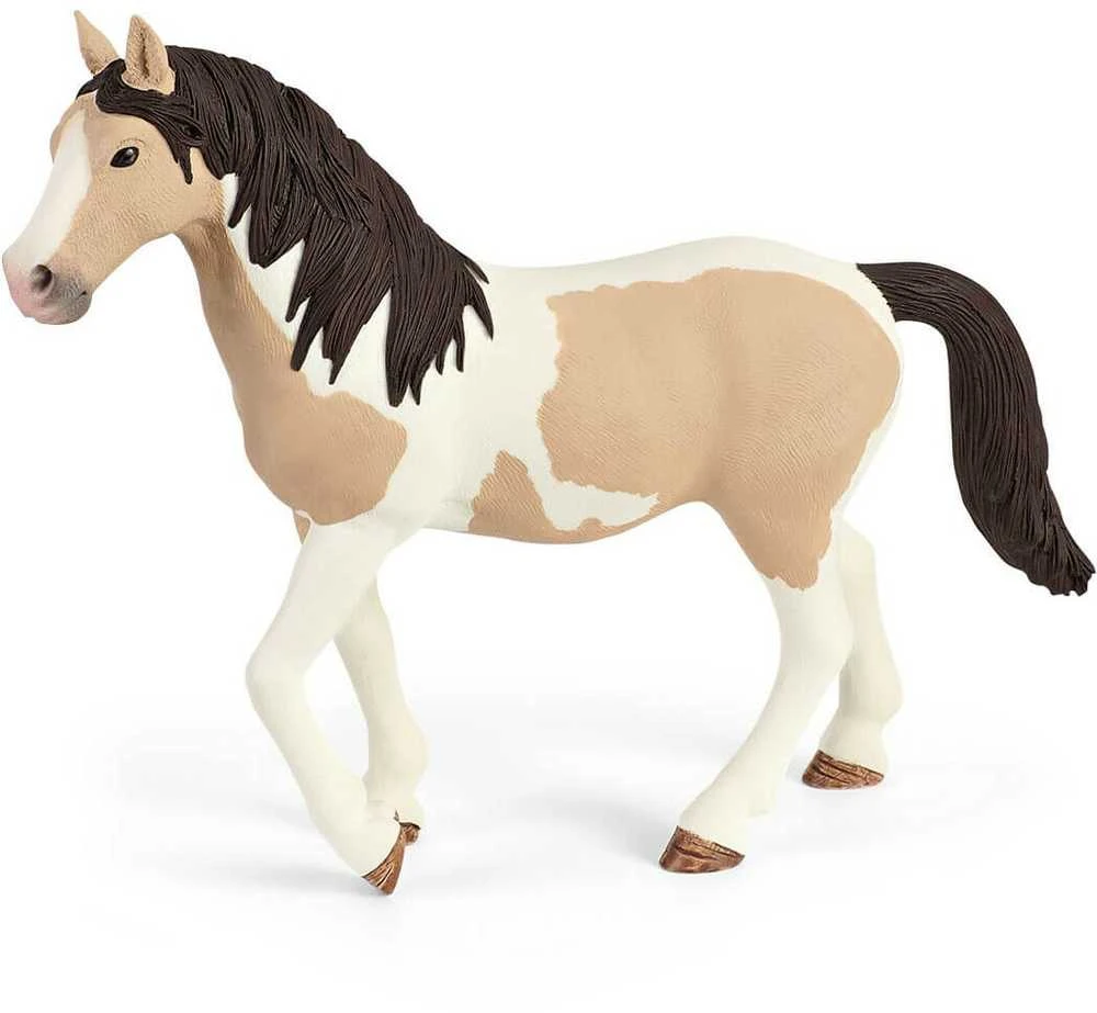 SCHLEICH „Arklių klubas“ Saros stovyklavimo rinkinys