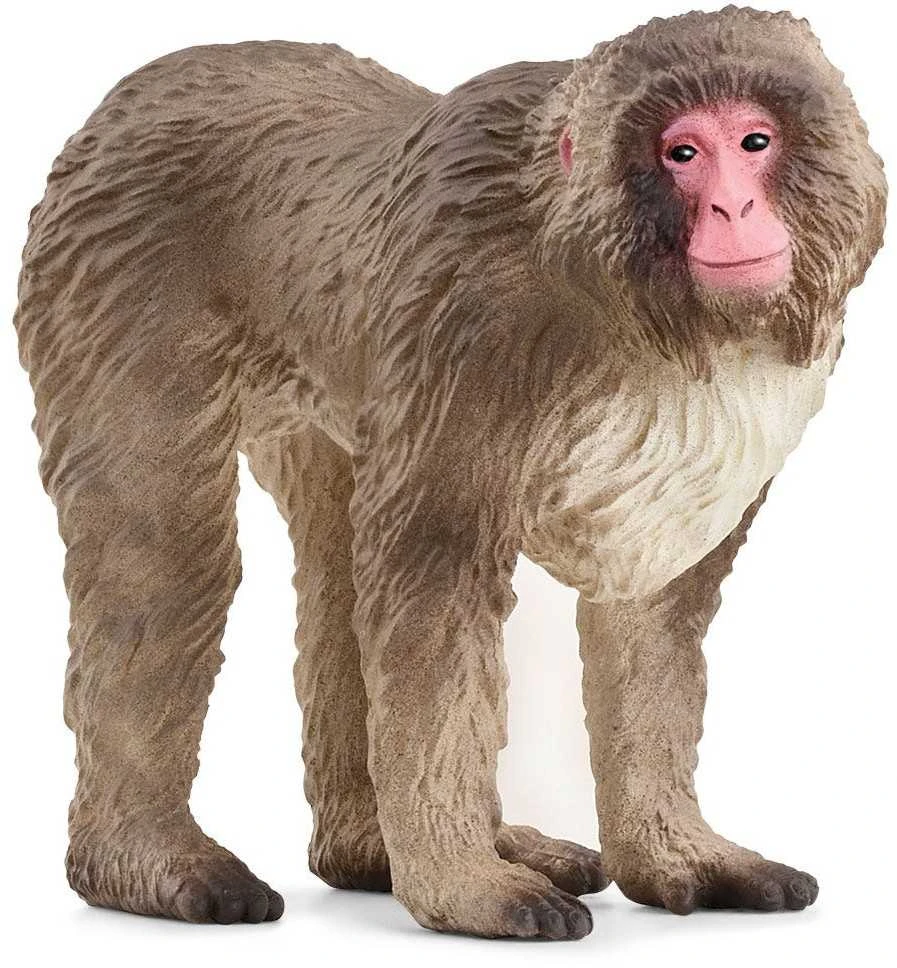 Schleich figūrėlė Japoninė makaka