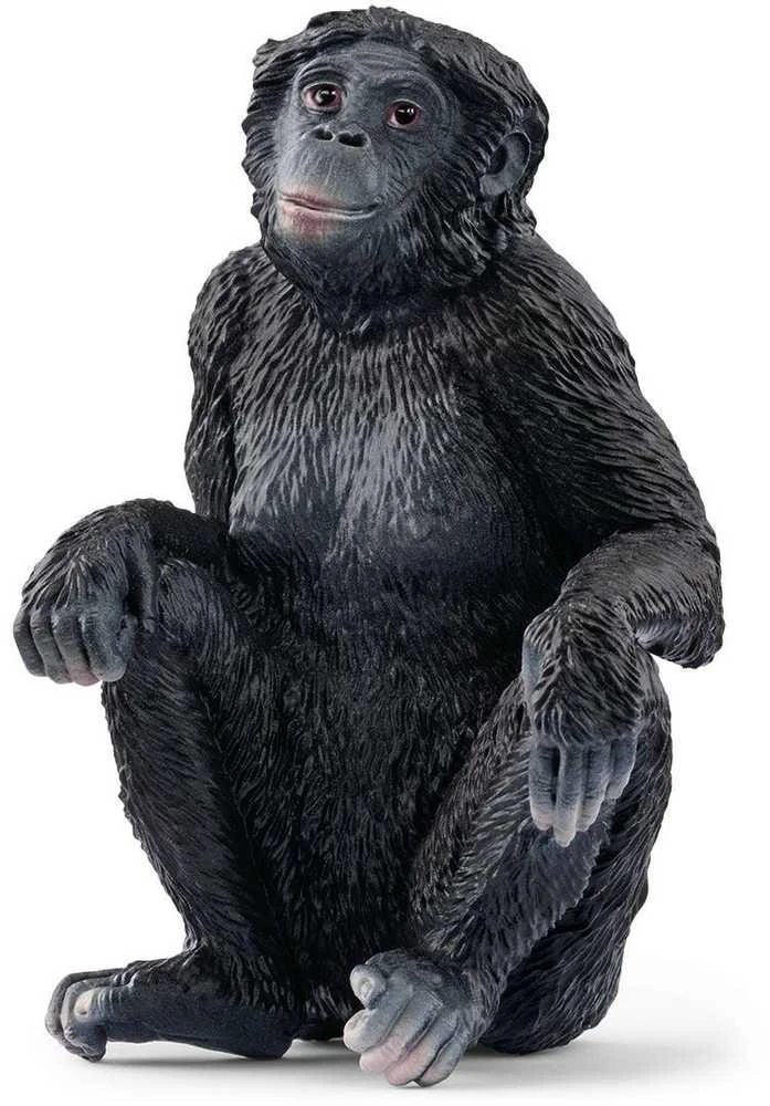 Schleich figūrėlė Mažoji šimpanzė