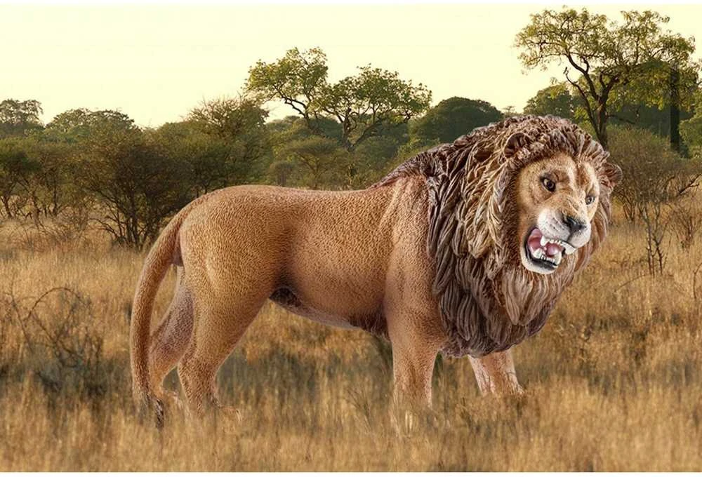 Schleich figūrėlė Liūtas