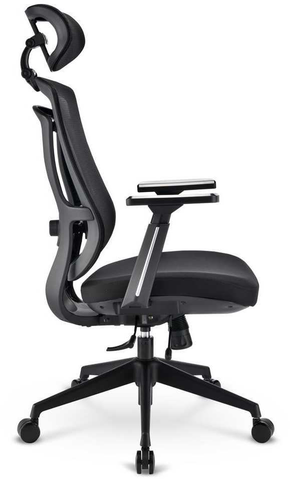 Sharkoon biuro kėdė OfficePal C20 (juoda)