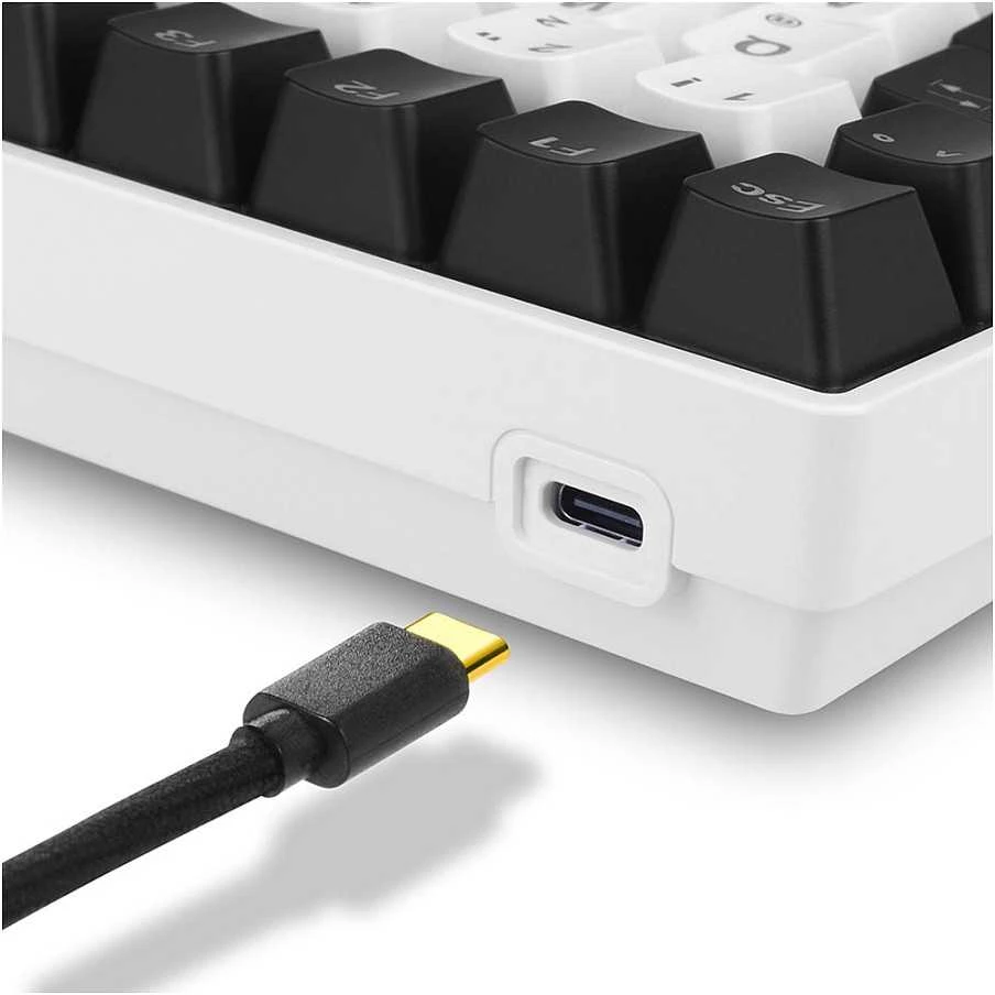 Sharkoon SKILLER SGK50 S3, Gaming-klaviatūra - baltas, DE-išdėstymas, Gateron Raudona