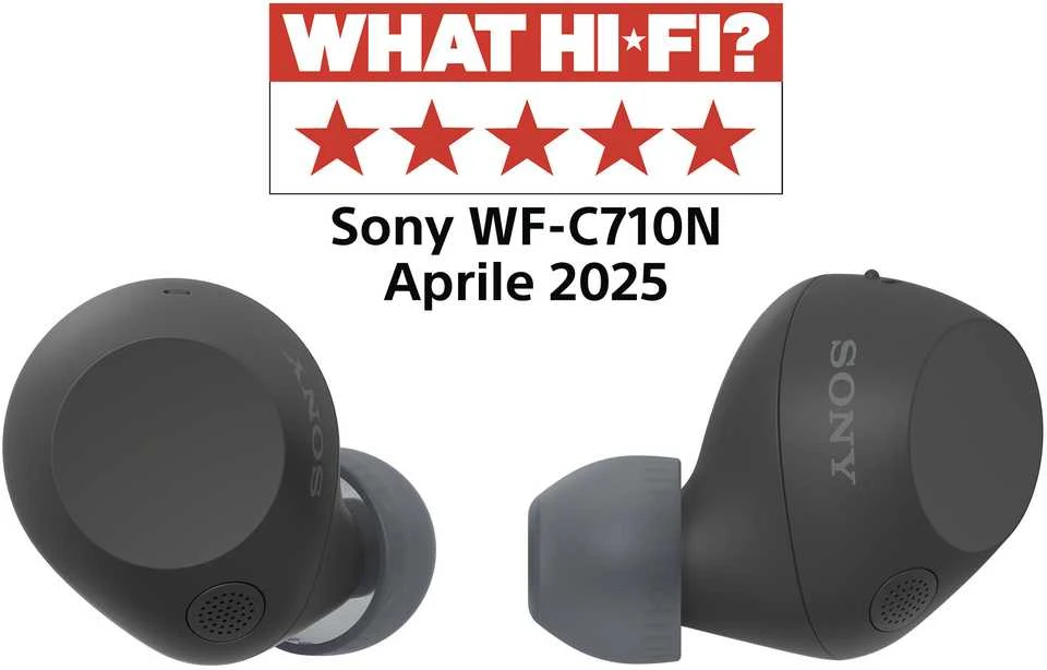 Ausinės Sony WF-C710N, Juodos