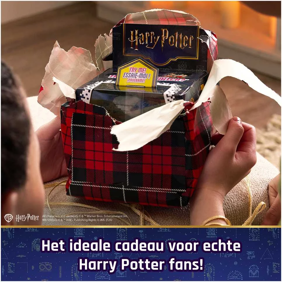 Interaktyvus skaitmeninis žaislas Spin Master BITZEE Harry Potter