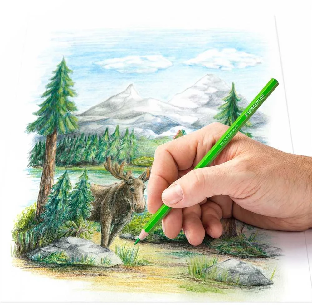 Staedtler - Spalvoti pieštukai - 72 vnt. (146CM72)