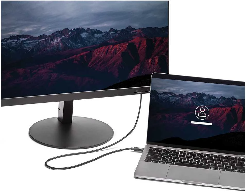 Kabelis USB StarTech USB-C - DVI-D 2 m Juodas (CDP2DVIMM2MB)