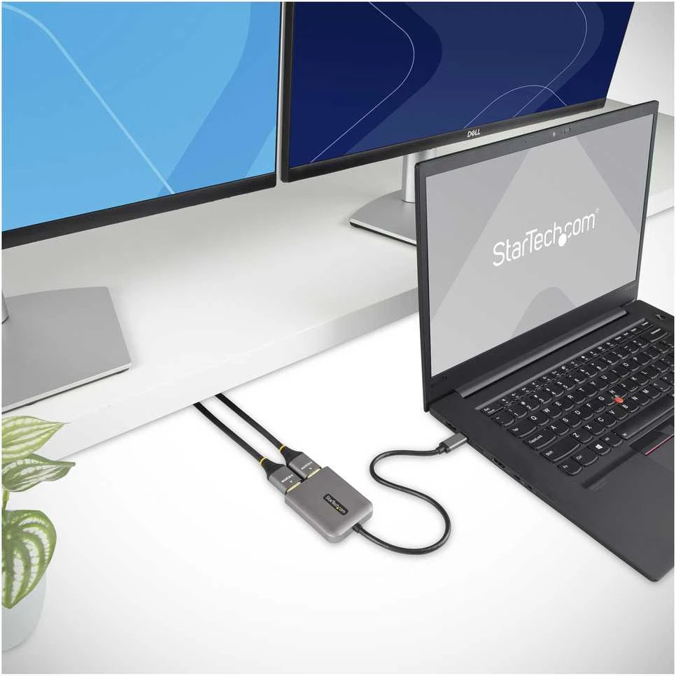 USB adapteris StarTech MST14CD122HD išorinės grafikos kortelės usb 3840 x 2160 px Juodas, Pilka