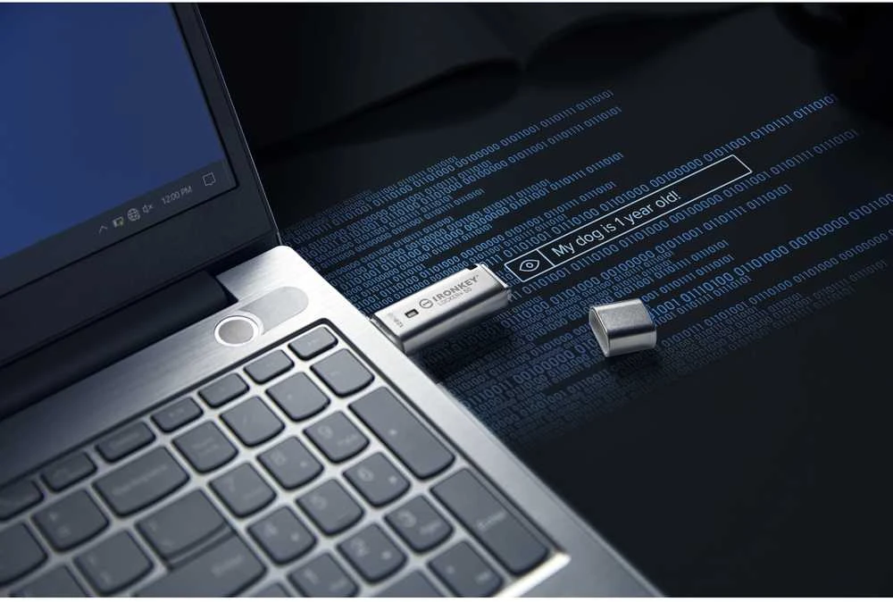 Kingston IronKey Locker+ 50 128GB USB 3.0