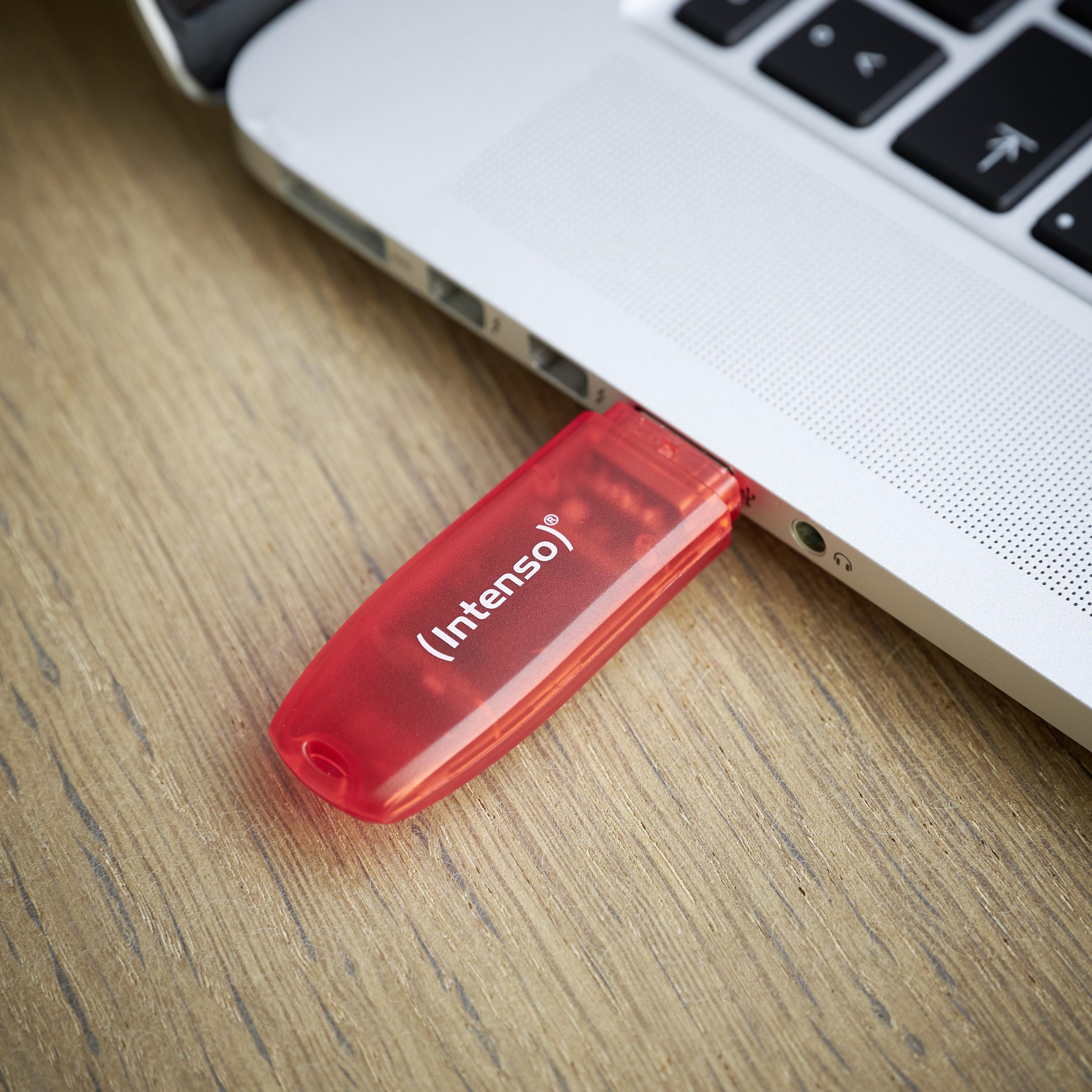 USB atmintinė 128GB USB 2.0 Intenso 3502491 Rainbow Line Raudona