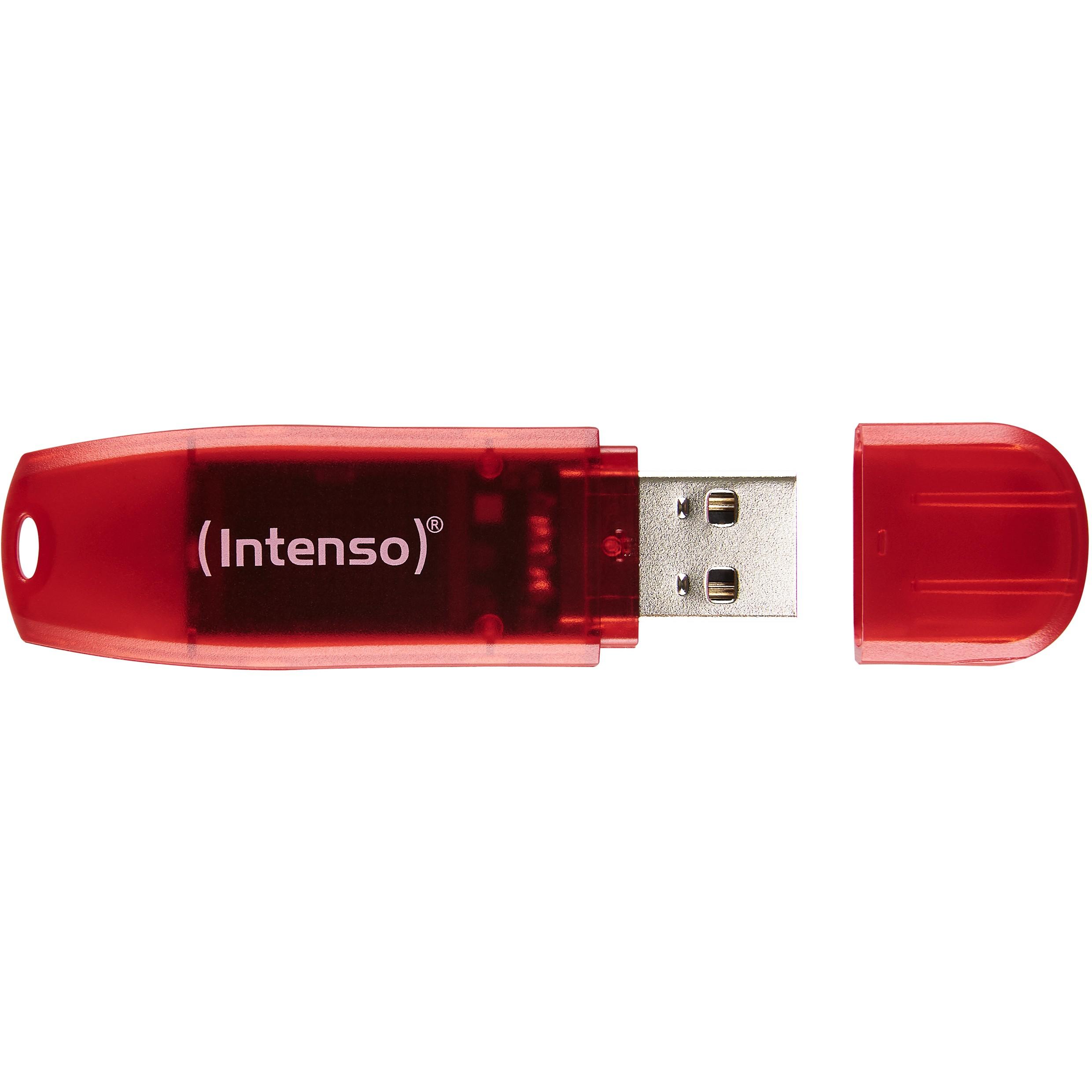 USB atmintinė 128GB USB 2.0 Intenso 3502491 Rainbow Line Raudona