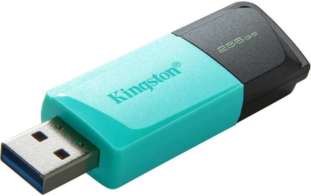 USB laikmena Kingston DataTraveler Exodia M, 256GB