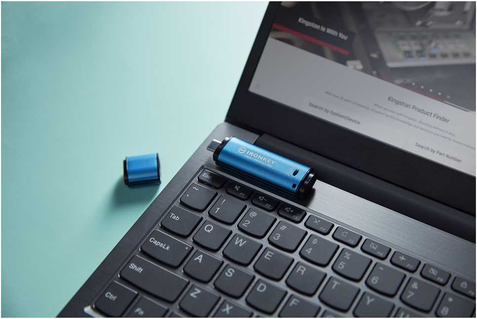 „Kingston IronKey Vault Privacy 50C“ 256 GB USB-C, 256 bitų, AES šifruotas