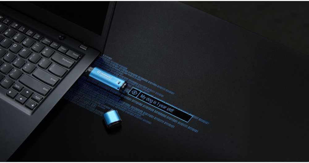 Kingston „IronKey Vault Privacy 50“ 256 GB USB 3.0 256 bitų AES šifravimas