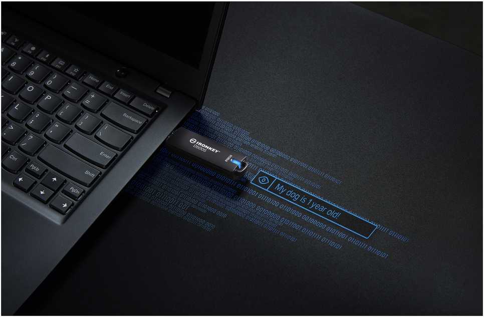 Pendrive Kingston IronKey D500S, 512 GB (IKD500S/512GB)
