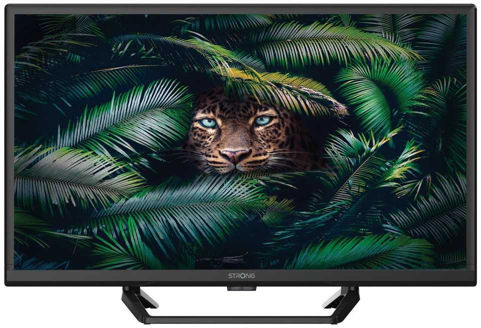 Televizorius Strong SRT24HE4023C LED LCD 24'' HD