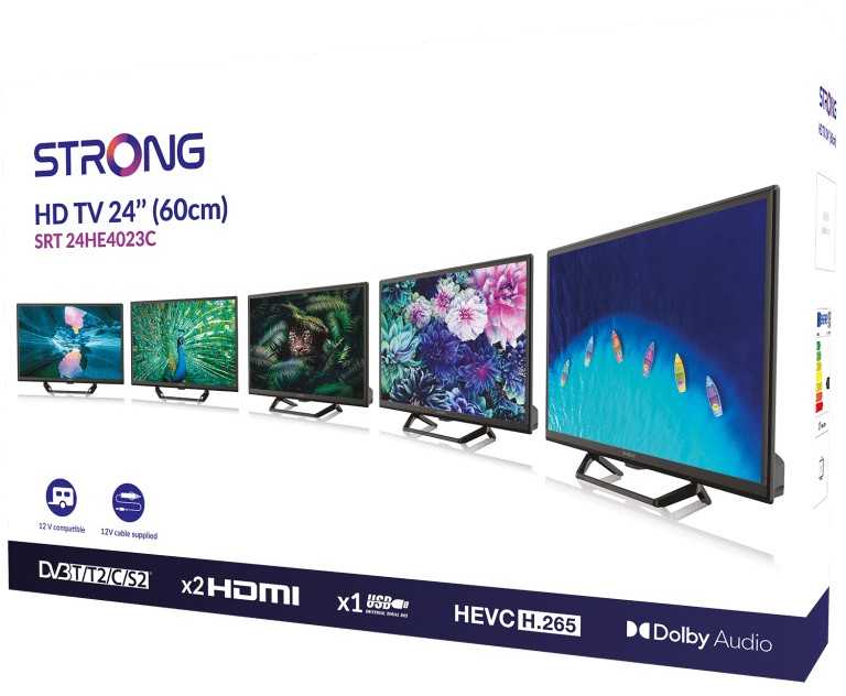 Televizorius Strong SRT24HE4023C LED LCD 24'' HD