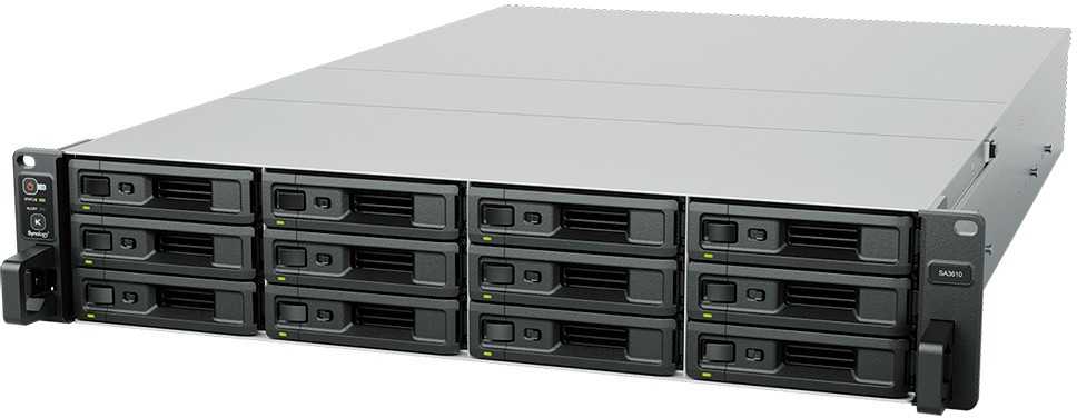 Serveris Synology SA3610
