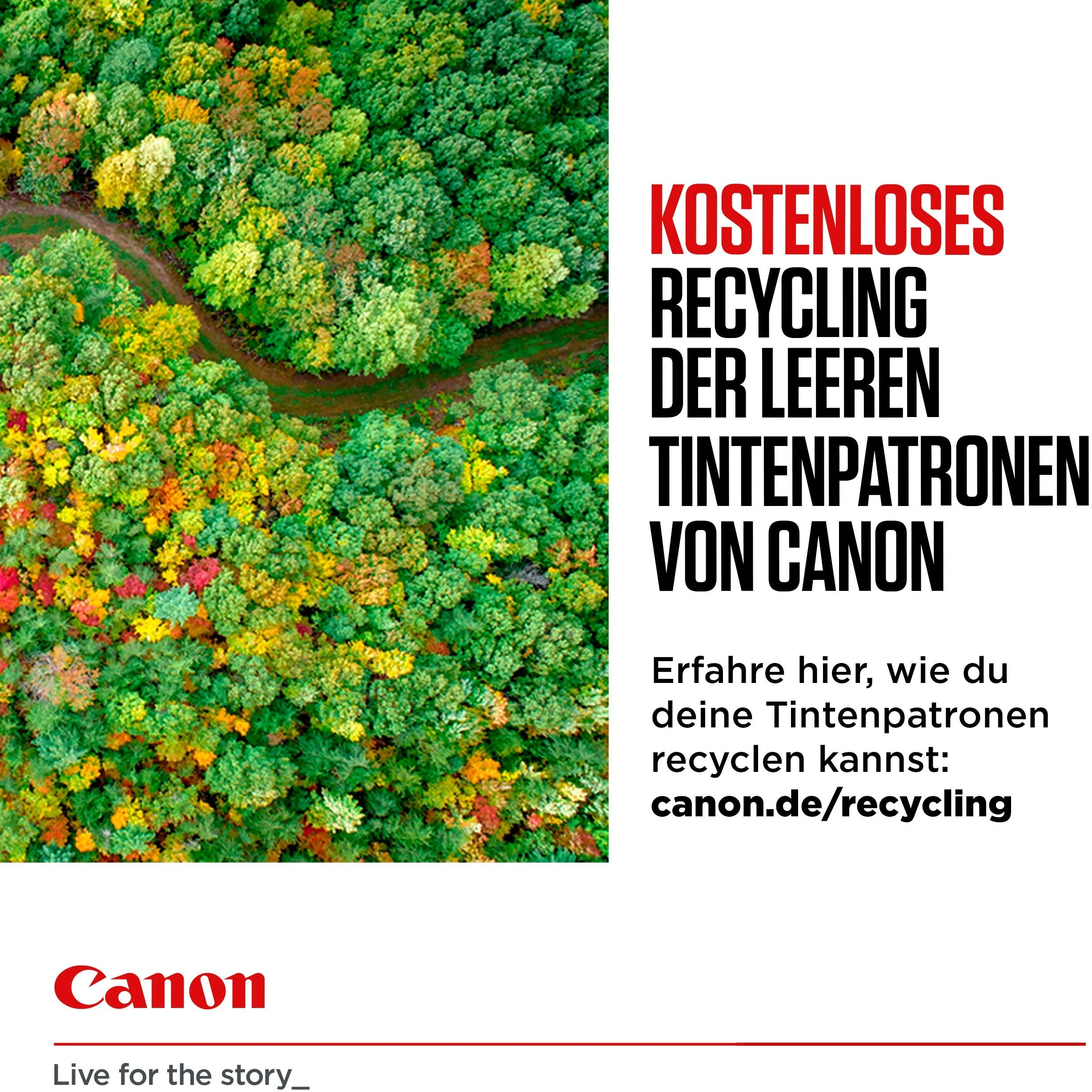 CANON 1LB PG-545 / CL-546 rašalo kasetė juodas ir spalva standartinė talpa bk: 180p cl: 180p 2 pakuočių lizdinė plokštelė be signalizacijos