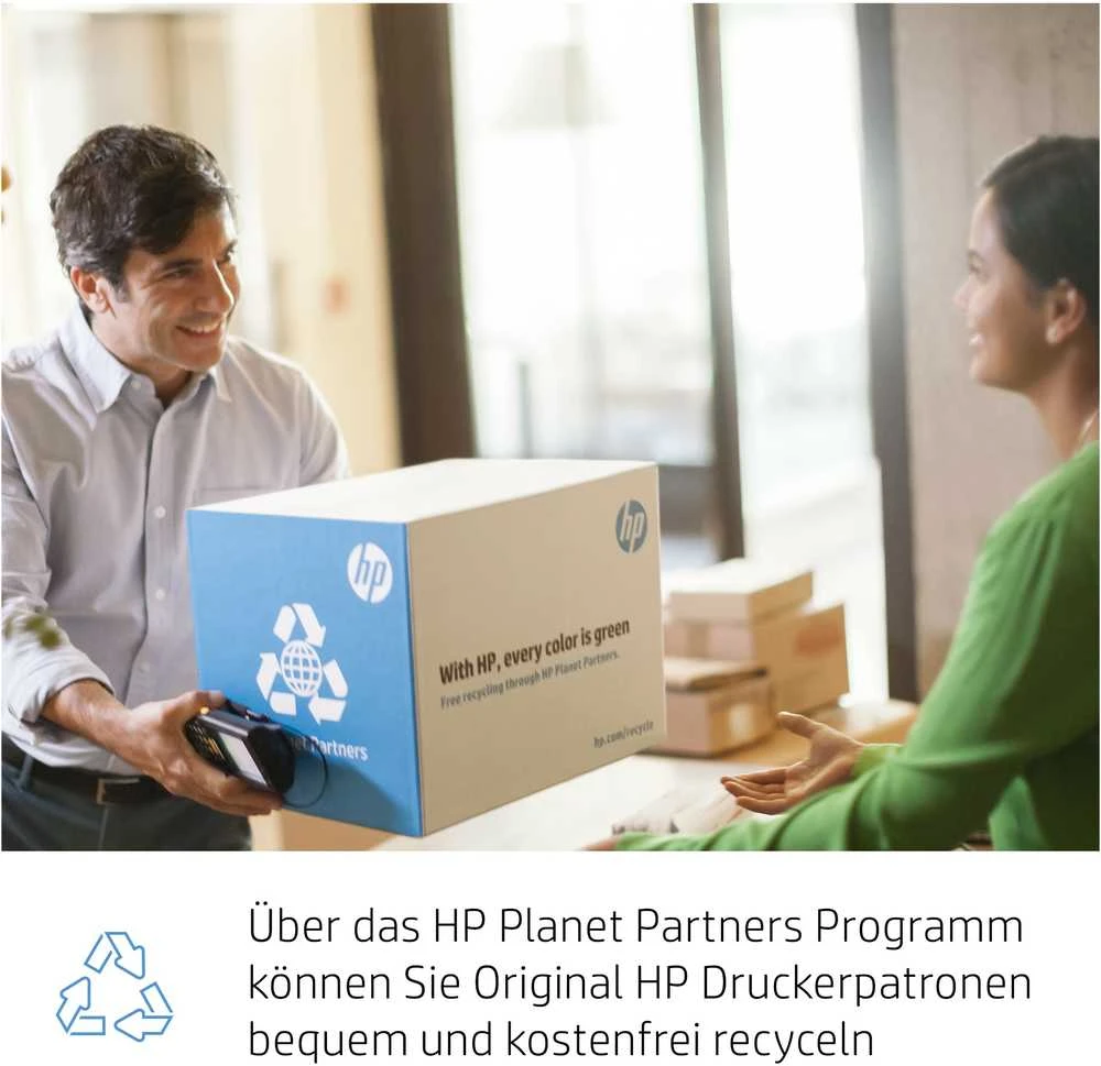 Hewlett Packard (HP) HP 730 300 ml pilkos spalvos rašalo kasetė