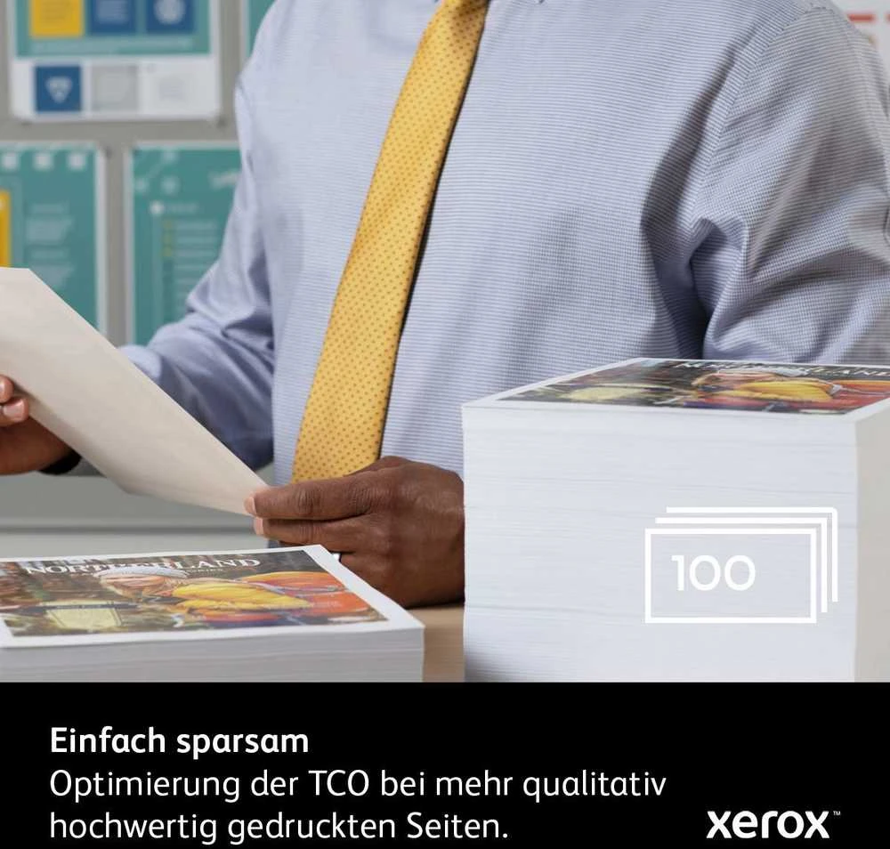 Xerox 106R03480 tonerio kasetė Originalus Juoda 1 vnt