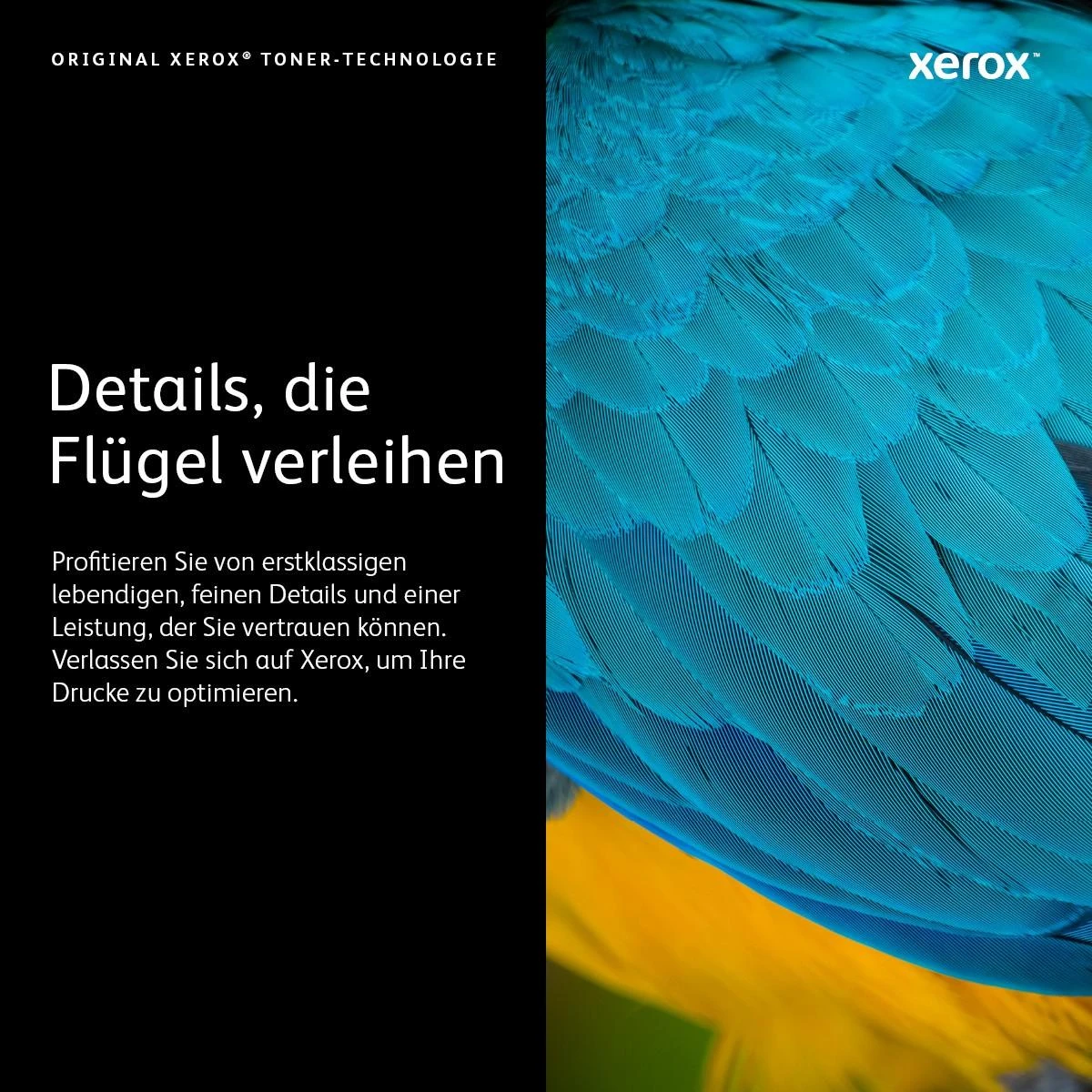Xerox B305 / B310 / B315 (006R04377) kasetė lazeriniams spausdintuvams, Juoda (8000 psl.)