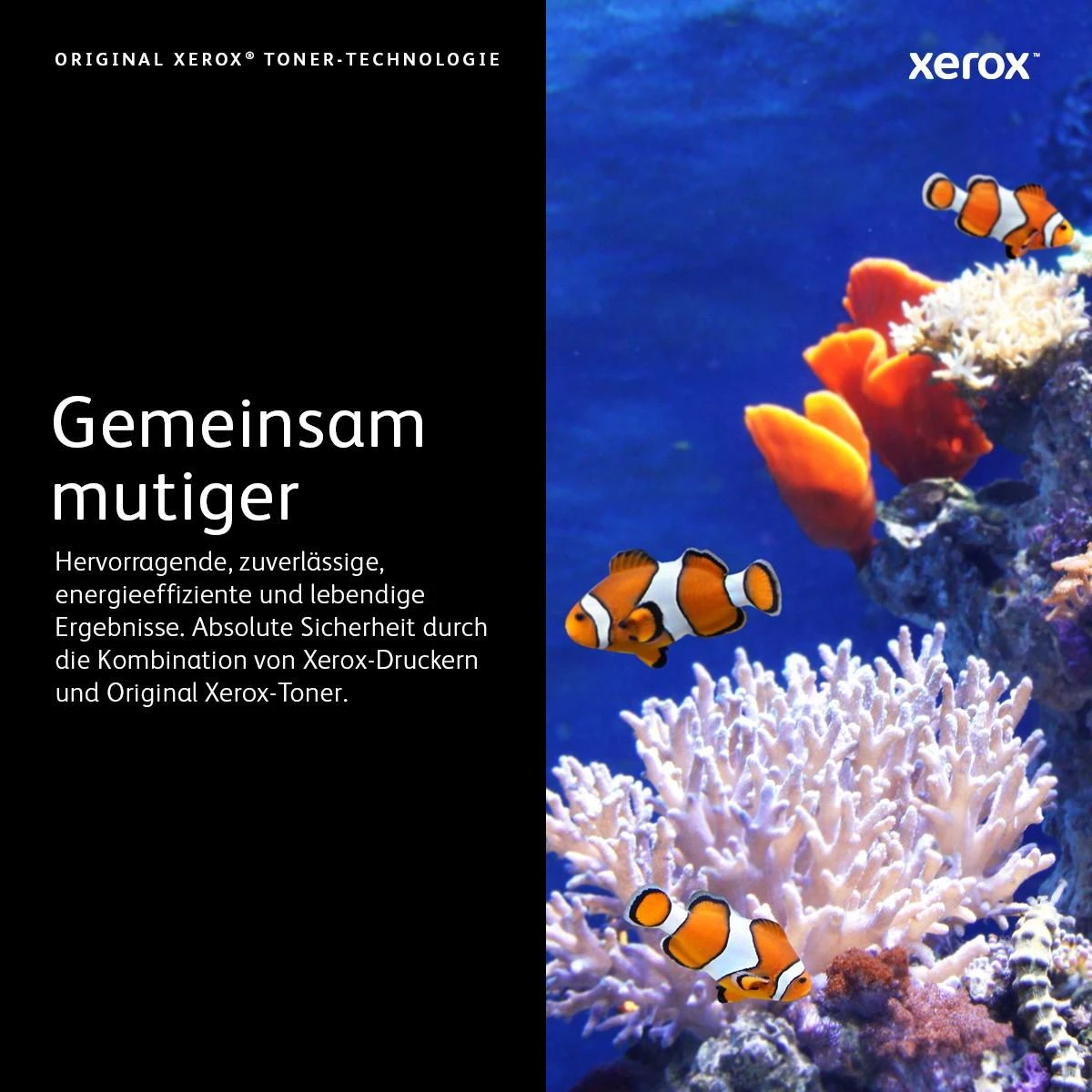 Xerox VersaLink C400/C405 (106R03528) Extra High Lazerinė kasetė, Juoda