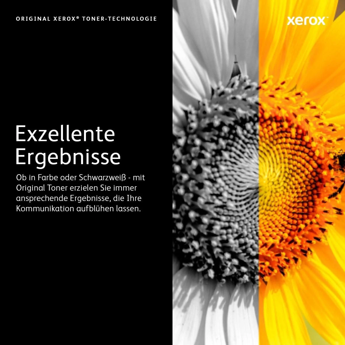 Xerox VersaLink C400/C405 (106R03528) Extra High Lazerinė kasetė, Juoda