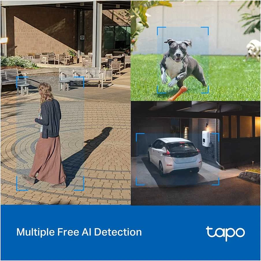 TP-LINK | Pan/Tilt Security Wi-Fi kamera | Tapo C520WS | Kupolas | 4 MP | 3,18 mm/F1,6 | IP66 | H.264 | „MicroSD“, iki 512 GB