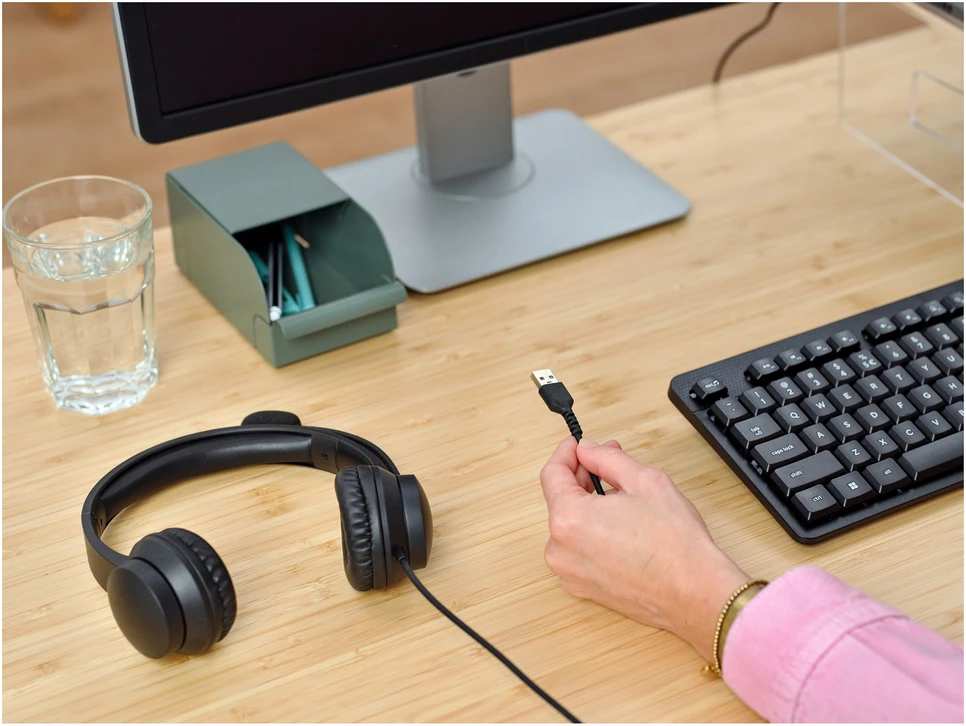 Trust AYDA USB PC Ausinės -