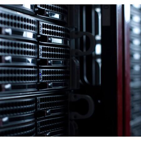 Sandisk Išorinis Kietasis Diskas - Western Digital WD Raudona Pro 20 TB WD201KFGX