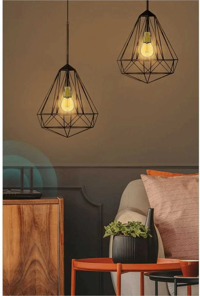 Lemputė LED filamentas E27, 230V, 6W, 650lm, 2700K, išmanioji Wi-Fi, valdoma programėle, TUYA, WOOX