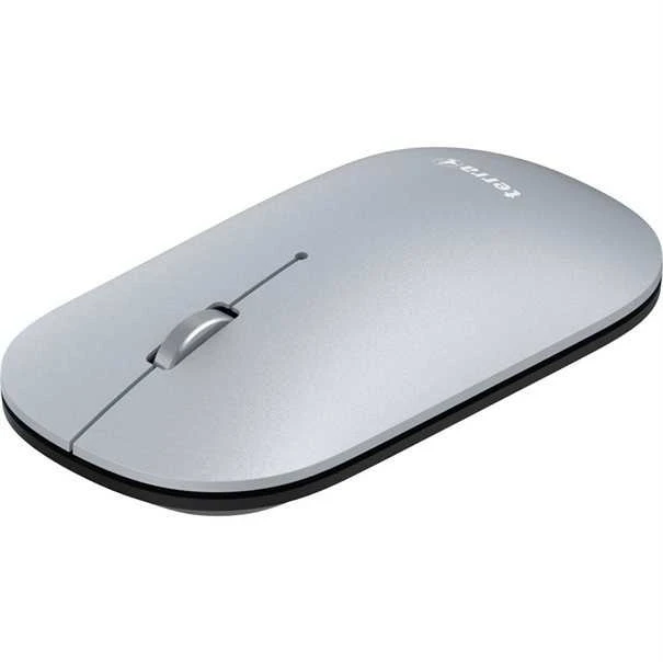 Wortmann TERRA Pelė NBM1000S wireless BT sidabrinis