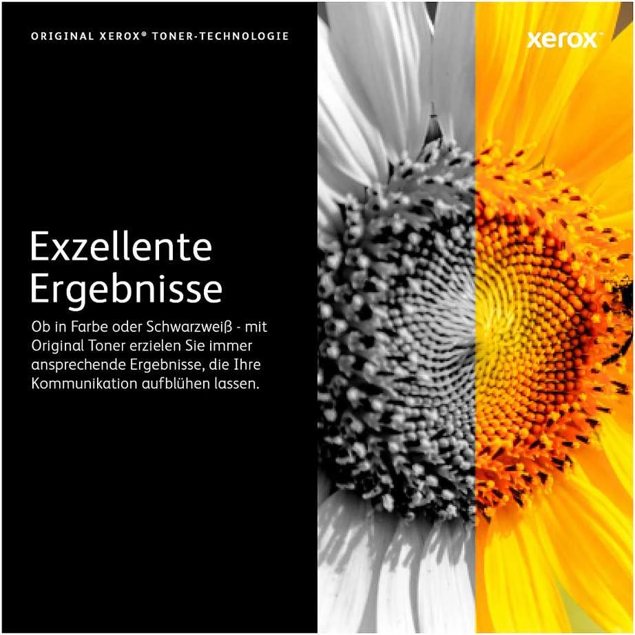 Tonerio Kasetė - Xerox VersaLink C400 C405 Didelės Talpos 4.8k Magenta
