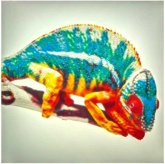 3D plastikas PLA Lithophane CMYK 1.75mm 4x1kg pakuotė Rosa3D