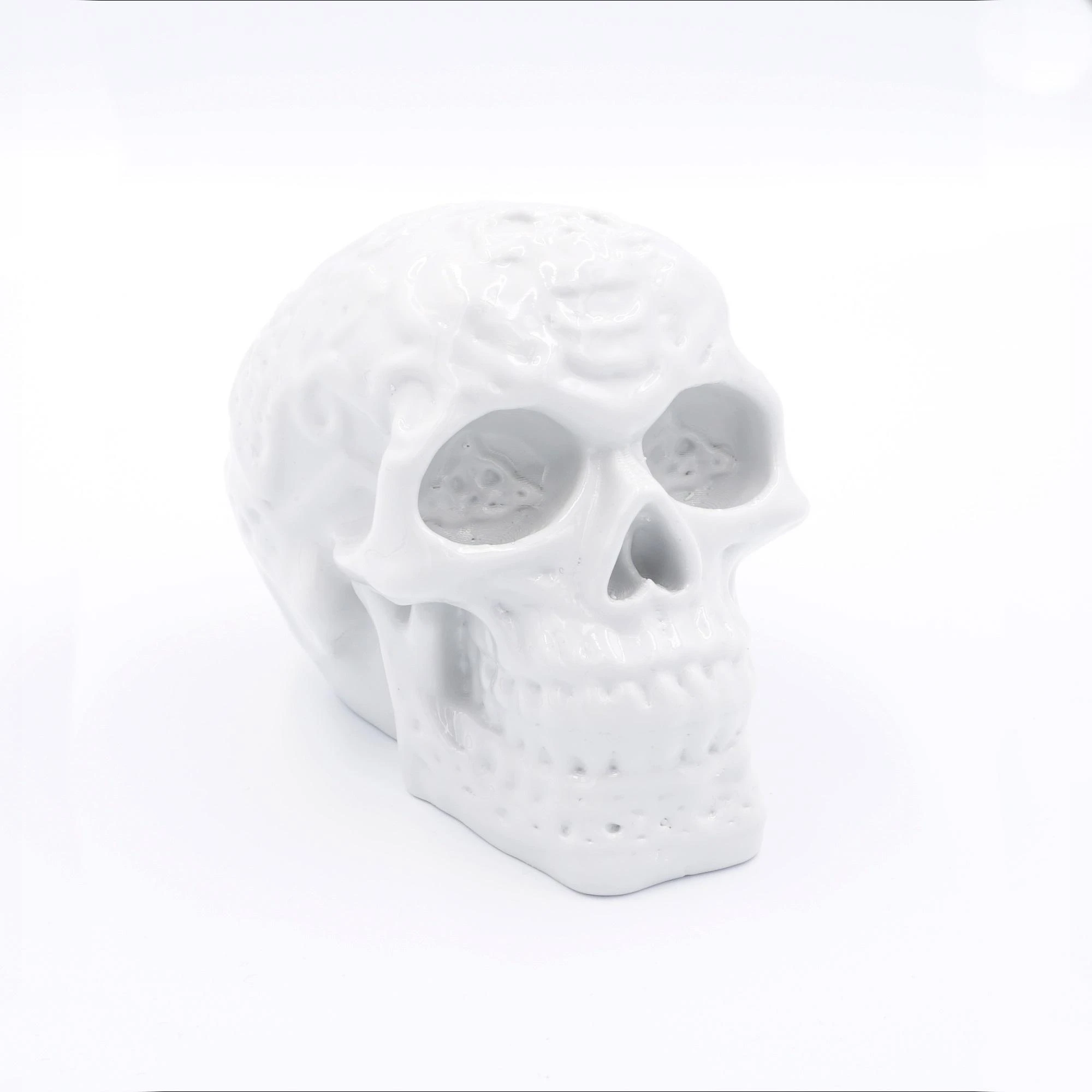 FiberSmooth 3D atspausdintas kaukolės modelis