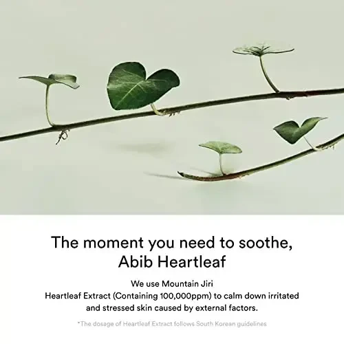 Abib Heartleaf Crème Calming Tube raminamasis veido kremas, 75 ml