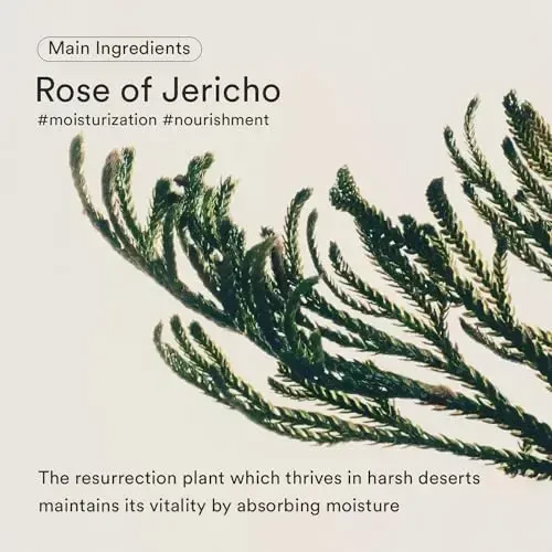 Abib Jericho Rose Bifida Serum Skin Serum, 50 ml