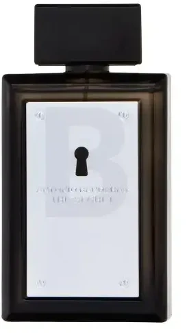 Kvepalai vyrams Antonio Banderas The Secret EDT, 100 ml