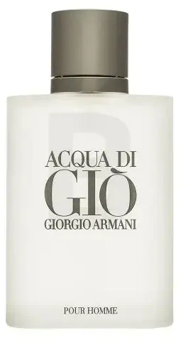 Kvepalai vyrams Giorgio Armani Acqua Di Gio Pour Homme EDT, 100 ml