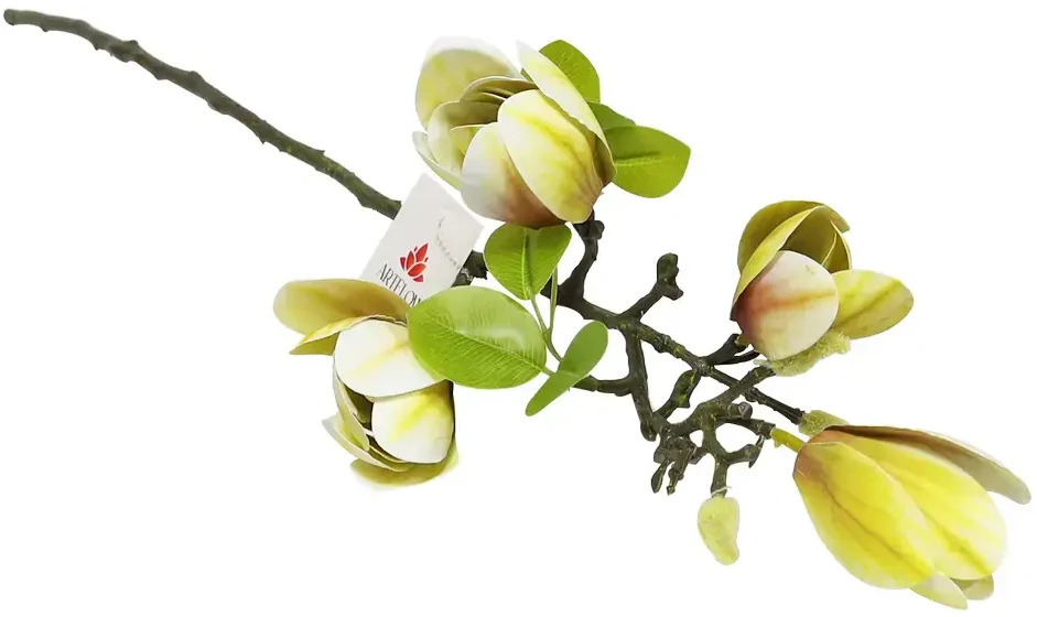 Artflow Dirbtinė magnolija 68 cm, balta