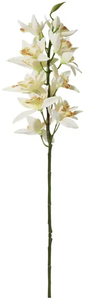 Artflow Dirbtinė orchidėja 76 cm, balta