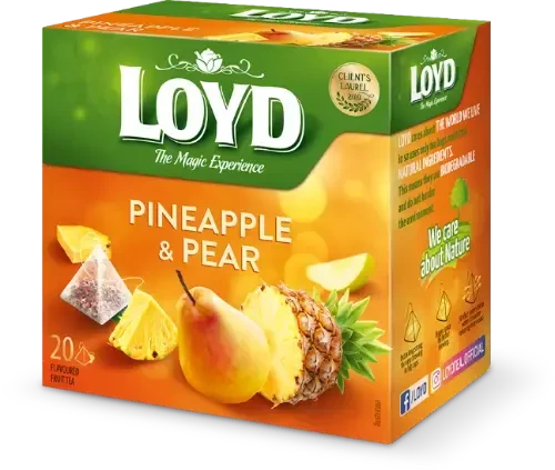 Vaisinė arbata LOYD, ananasų ir kriaušių skonio, 20 x 2g