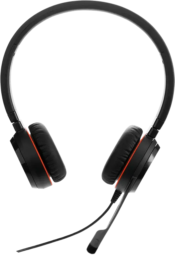 JABRA Evolve 20 USB C/A MS Stereo ausinės