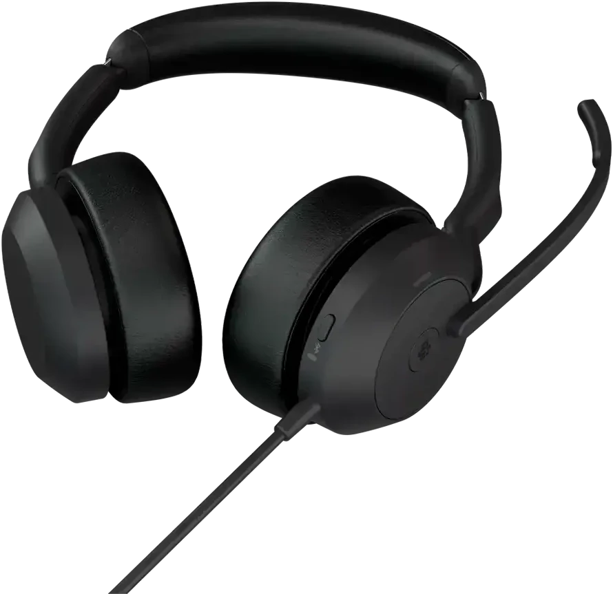 Ausinės JABRA Evolve2 50 USB C/A MS Stereo