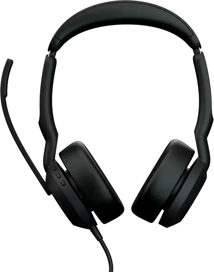 Ausinės JABRA Evolve2 50 USB C/A MS Stereo
