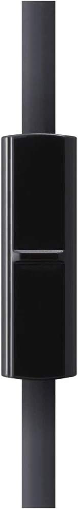 Stereofoninės ausinės su mikrofonu Panasonic RP-HF100ME-K, Juodos