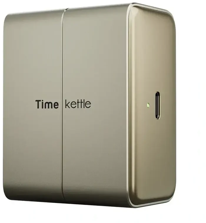 Ausinės TimeKettle W4 Plus TWS Translation Earbuds (Auksinė)